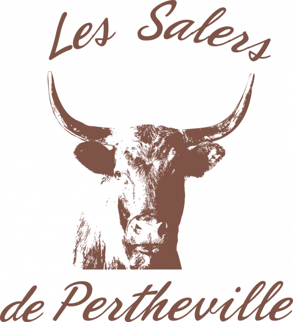 En attente de l’image du produit